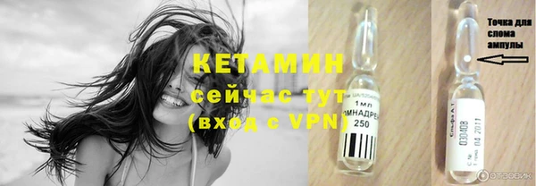 сатива Абаза