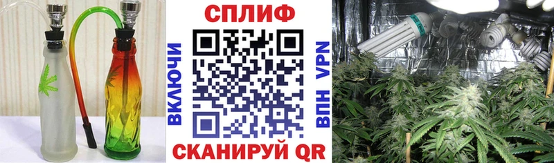 мега tor сколько стоит Тотьма Бошки Шишки гибрид